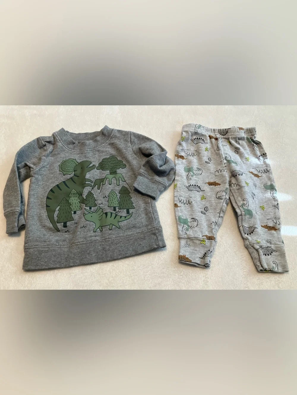 Gray Baby Dinosaur Top and Dinosaur Pants